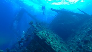 7 Days Sailing And Diving The Red Sea 10